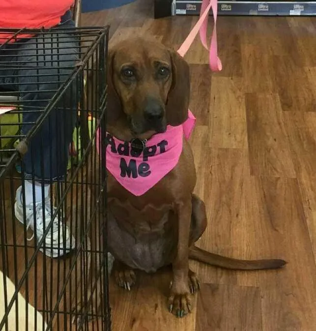 Summerly thumbnail 3