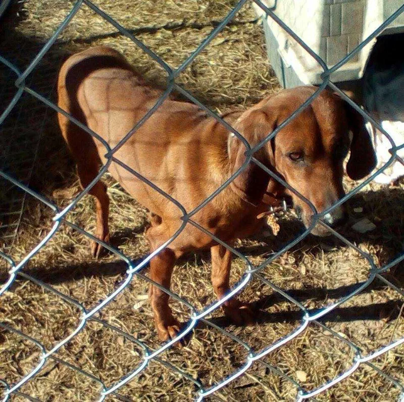 Summerly thumbnail 5