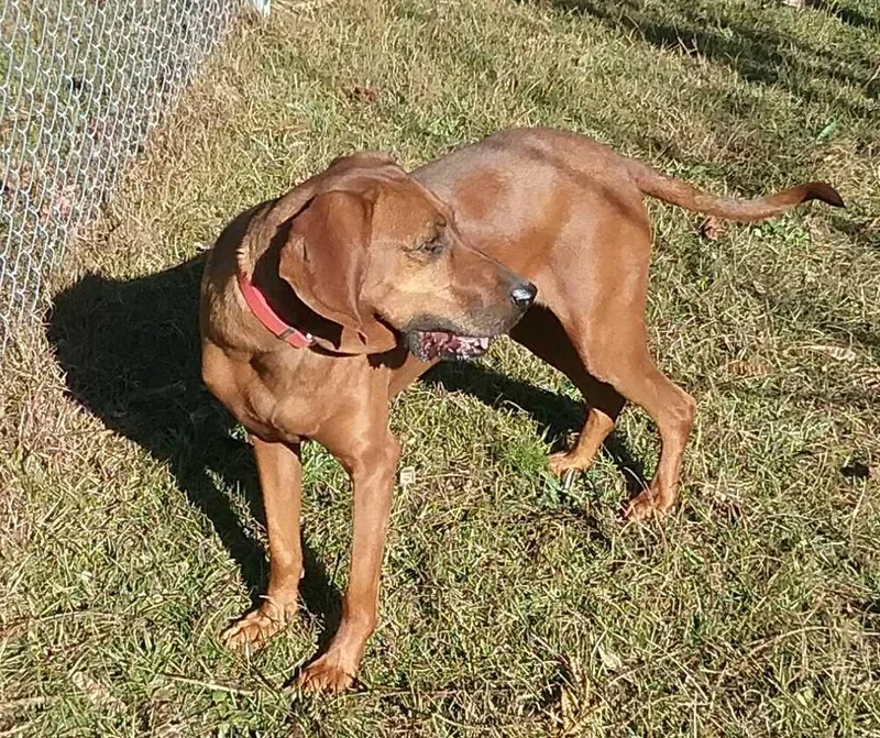 Summerly thumbnail 6