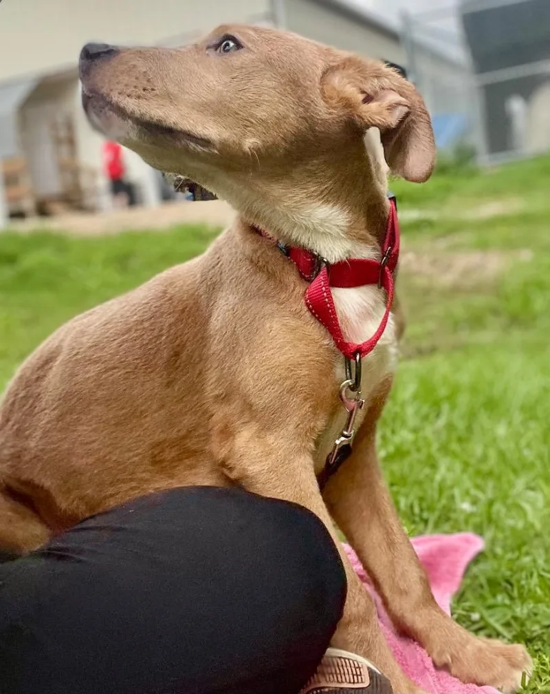 Splinter thumbnail 3