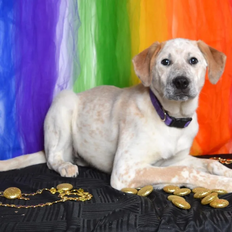 Georgina thumbnail 3