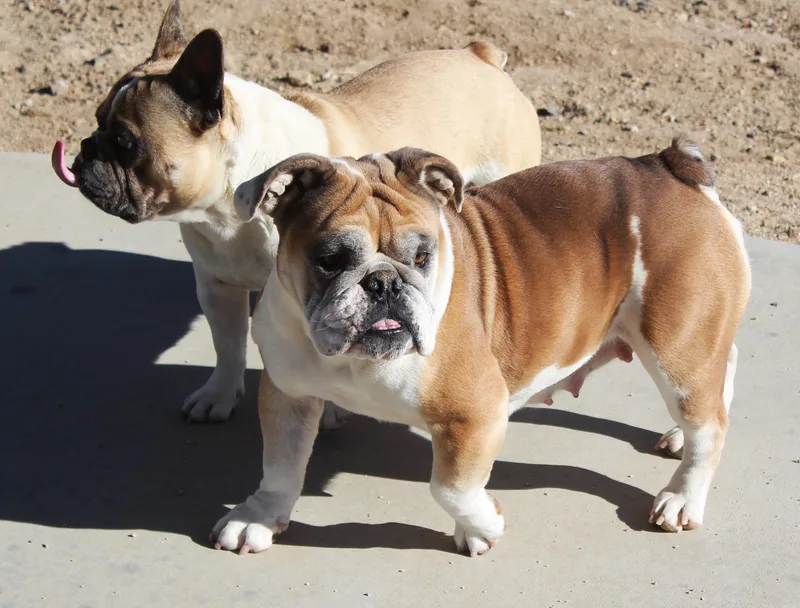 Ruthie thumbnail 5