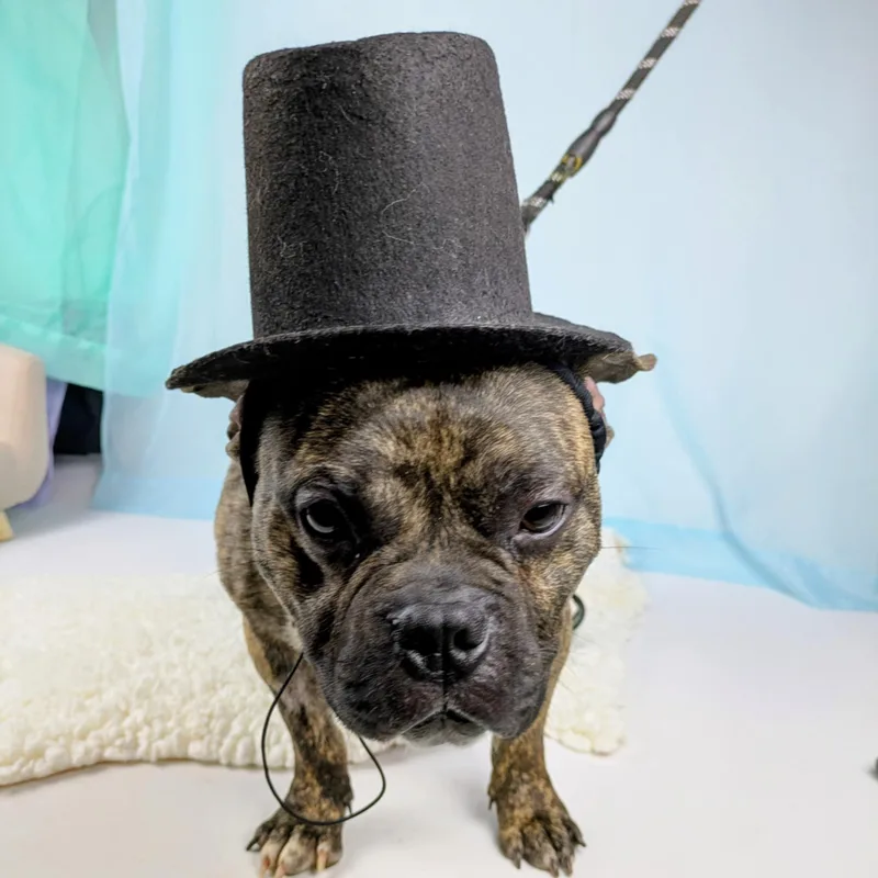 Bubba Tank thumbnail 5