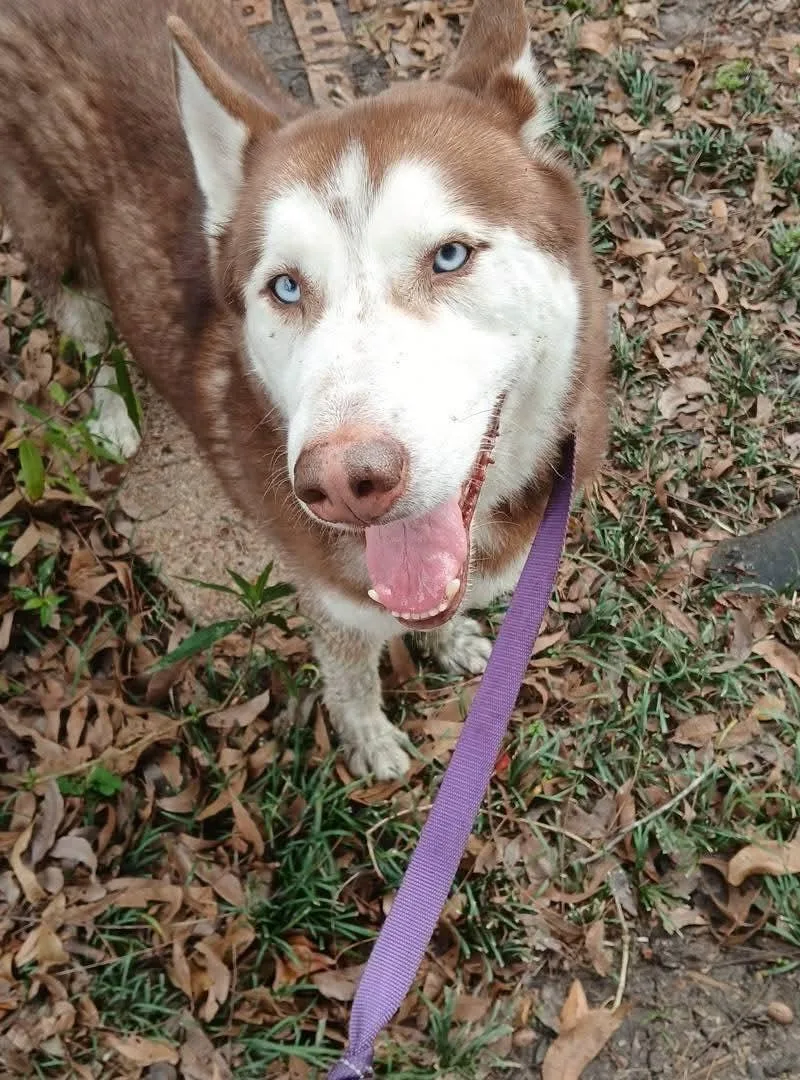 Best Buddy thumbnail 5