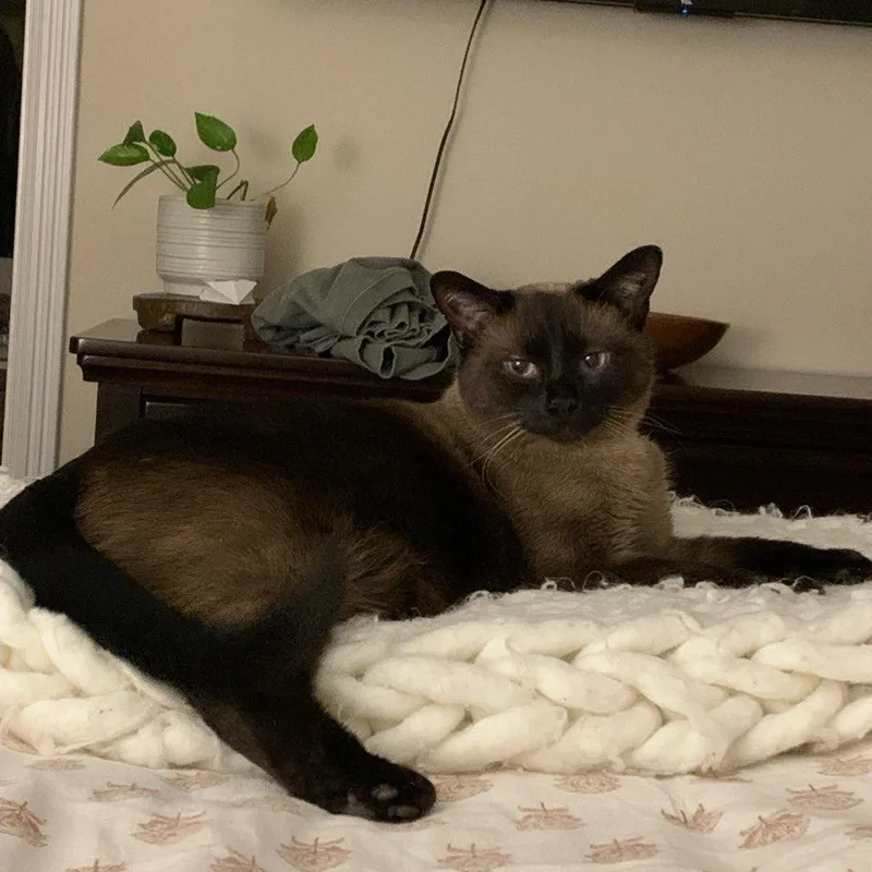 Queenie