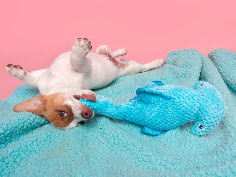 Candy: Oh Henry thumbnail 3