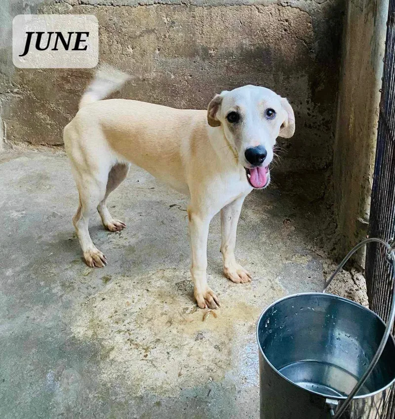 June