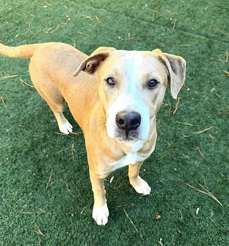 Buck Walton thumbnail 2