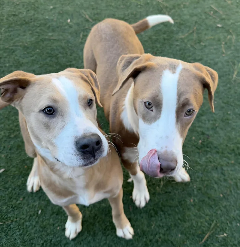 Buck Walton thumbnail 3