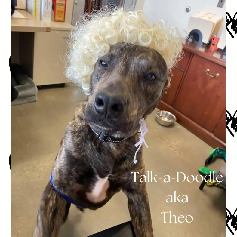 Theo thumbnail 4