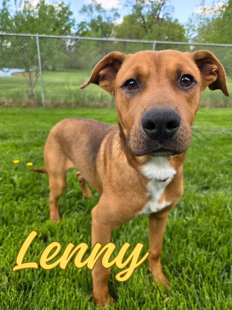 Lenny thumbnail 2