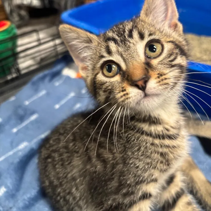 McCoy C thumbnail 2