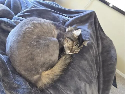 Crowley And Lil Bit thumbnail 3