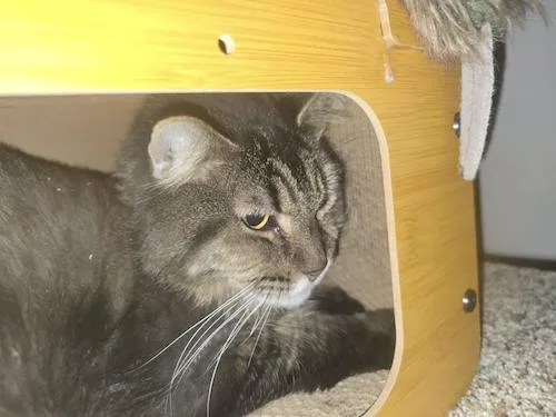 Crowley And Lil Bit thumbnail 5