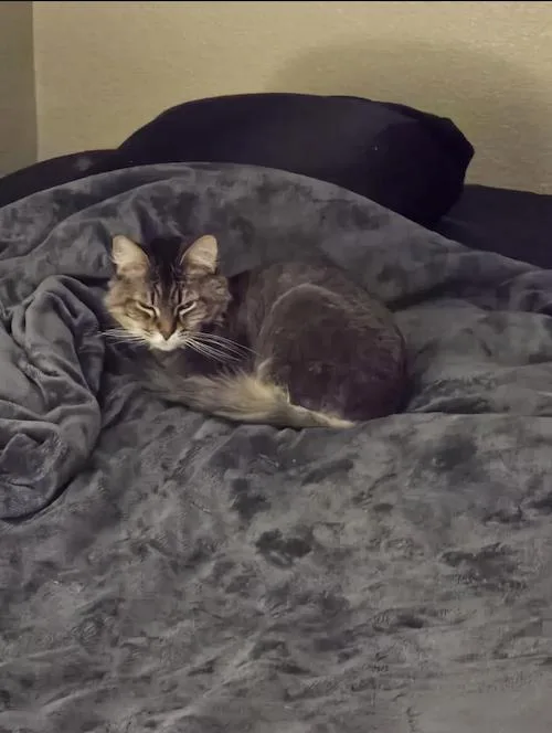 Crowley And Lil Bit thumbnail 6