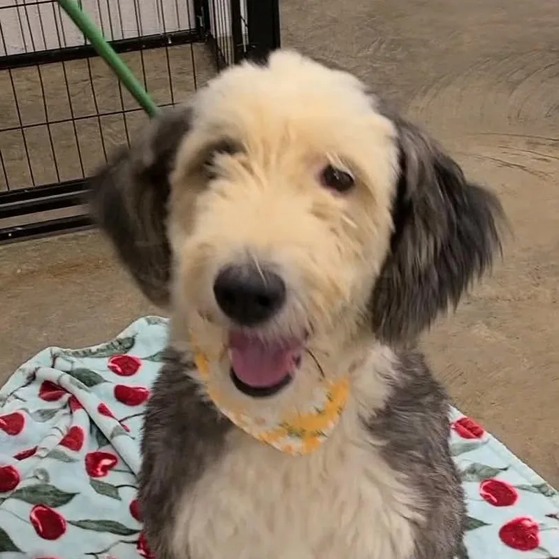 Stormy thumbnail 3