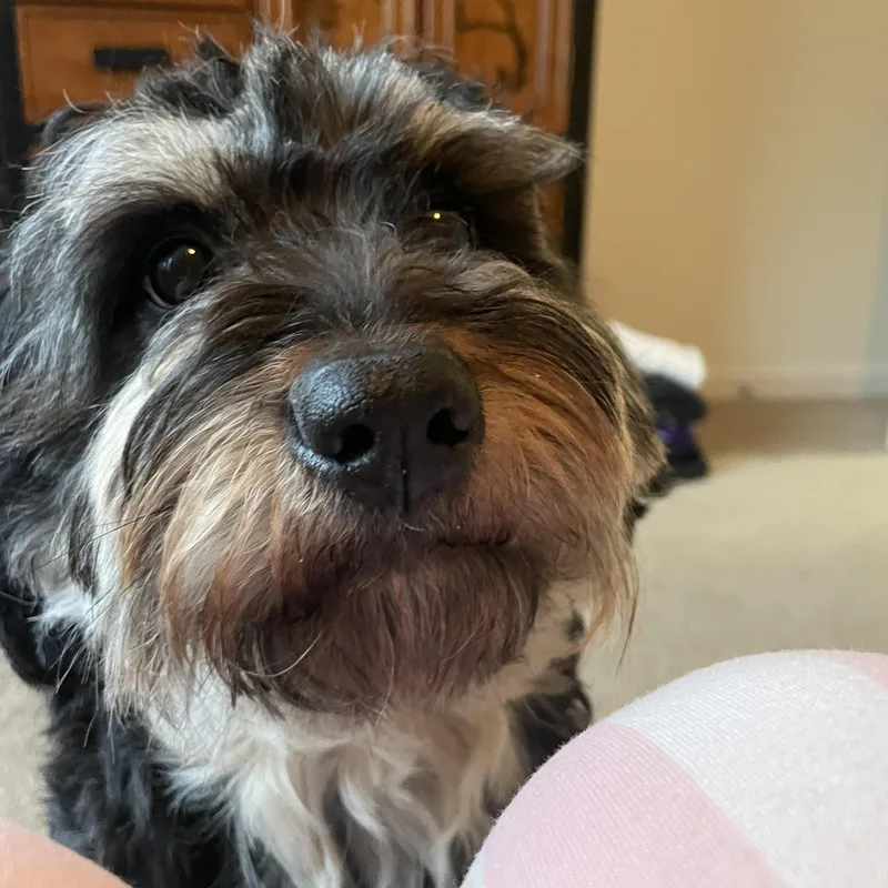 Sabrina thumbnail 2