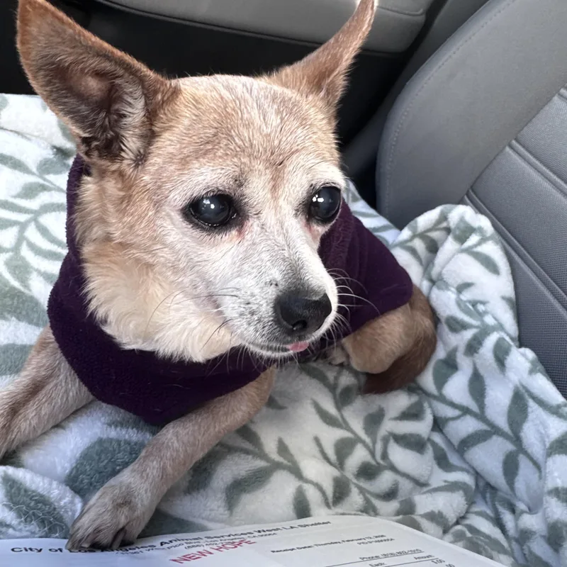 Coco