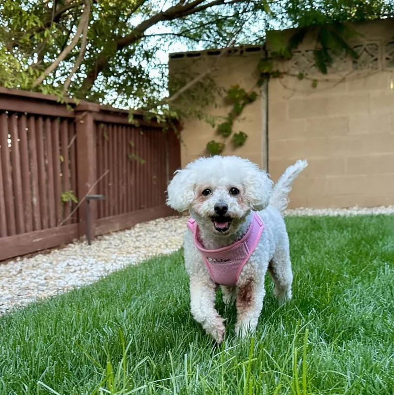 Magnificent and Marvelous Maddie thumbnail 2