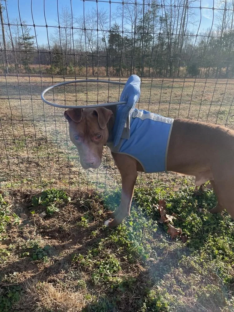 Stevie Wonder thumbnail 2