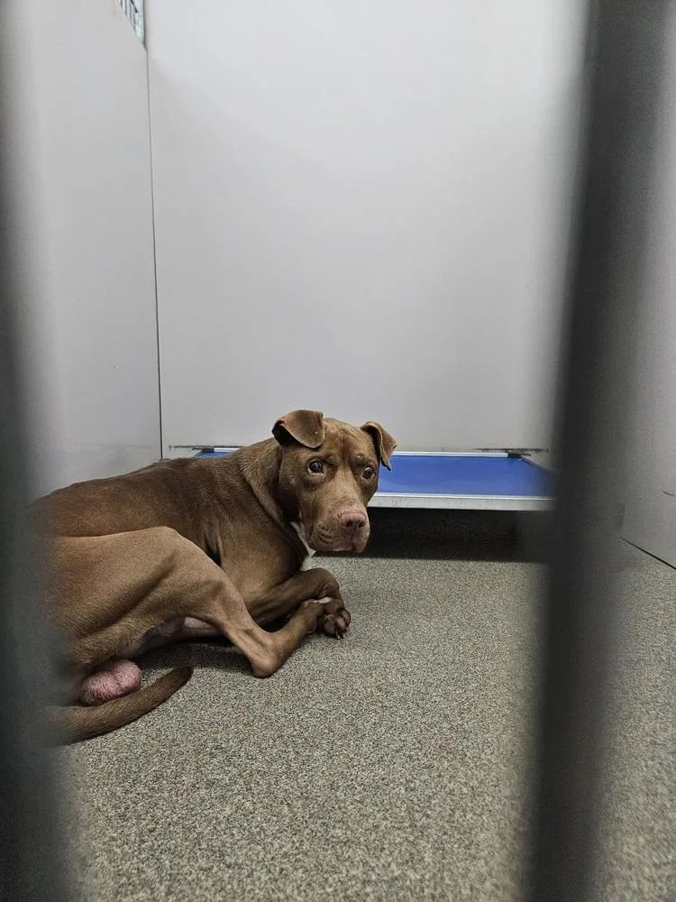 Stevie Wonder thumbnail 3