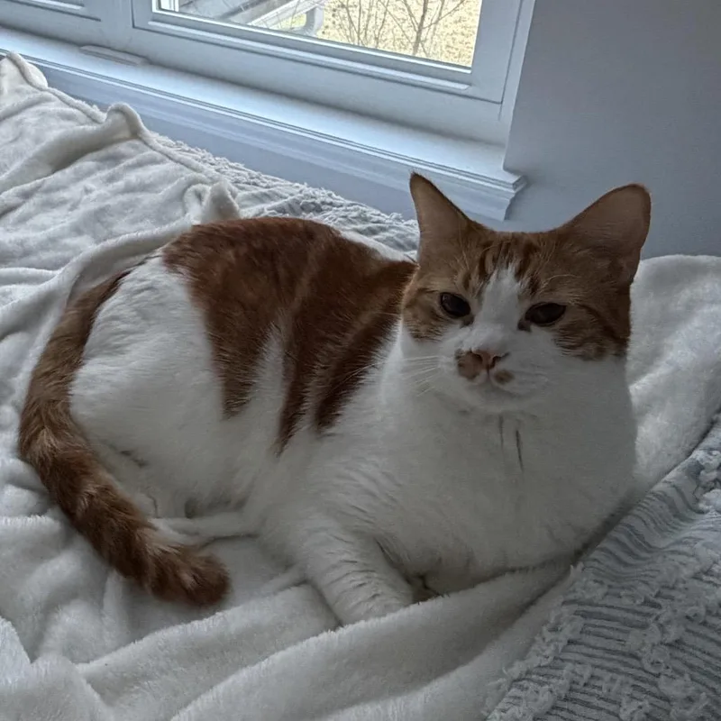 Captain Butler thumbnail 2