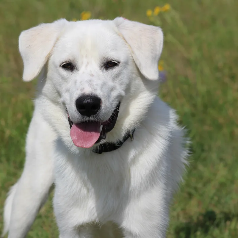Gibsonloving Life thumbnail 5