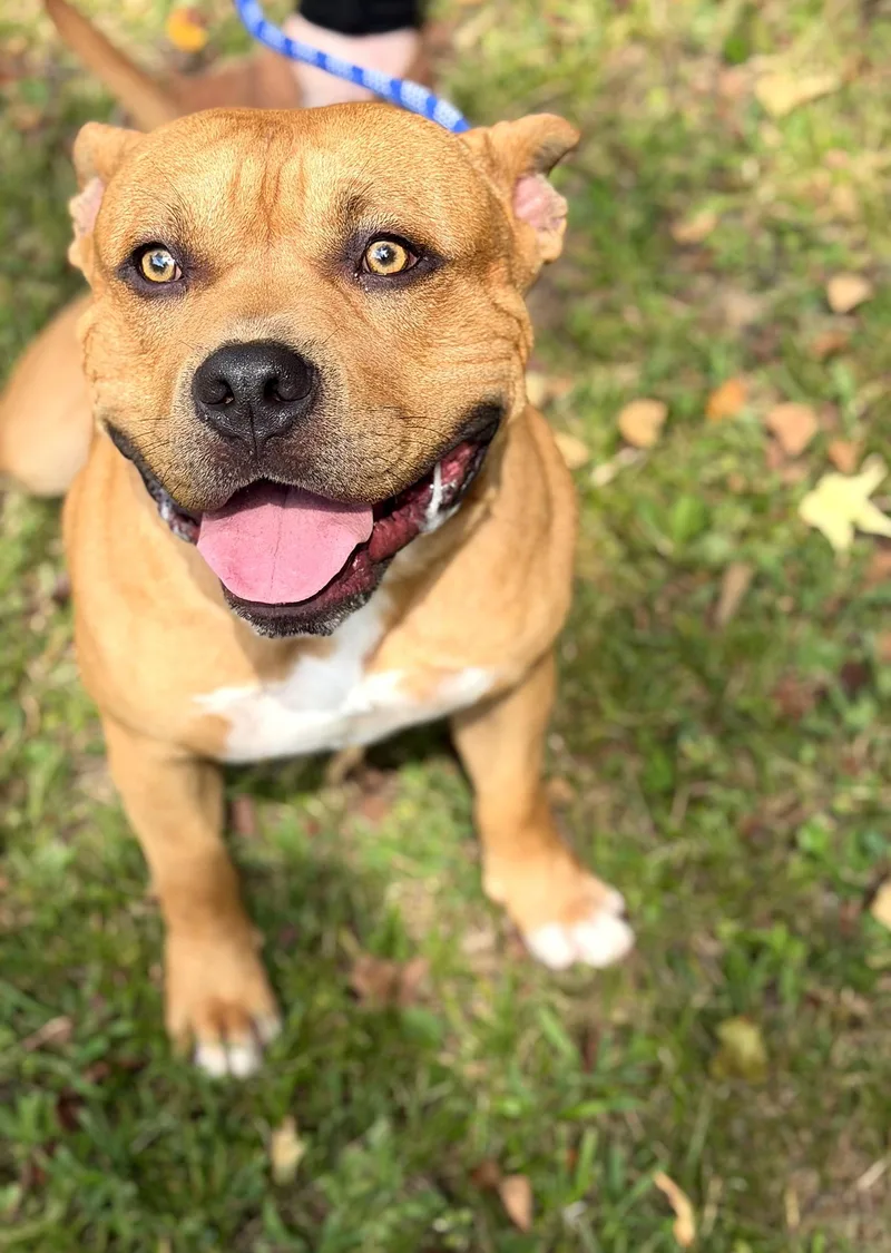 Chance