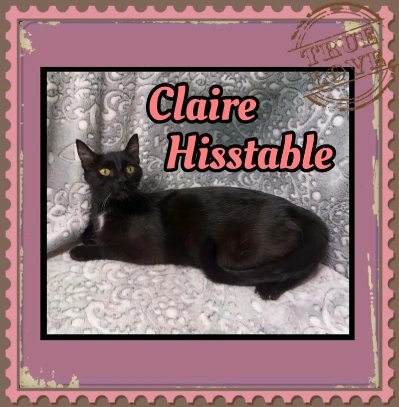 Claire Hisstable