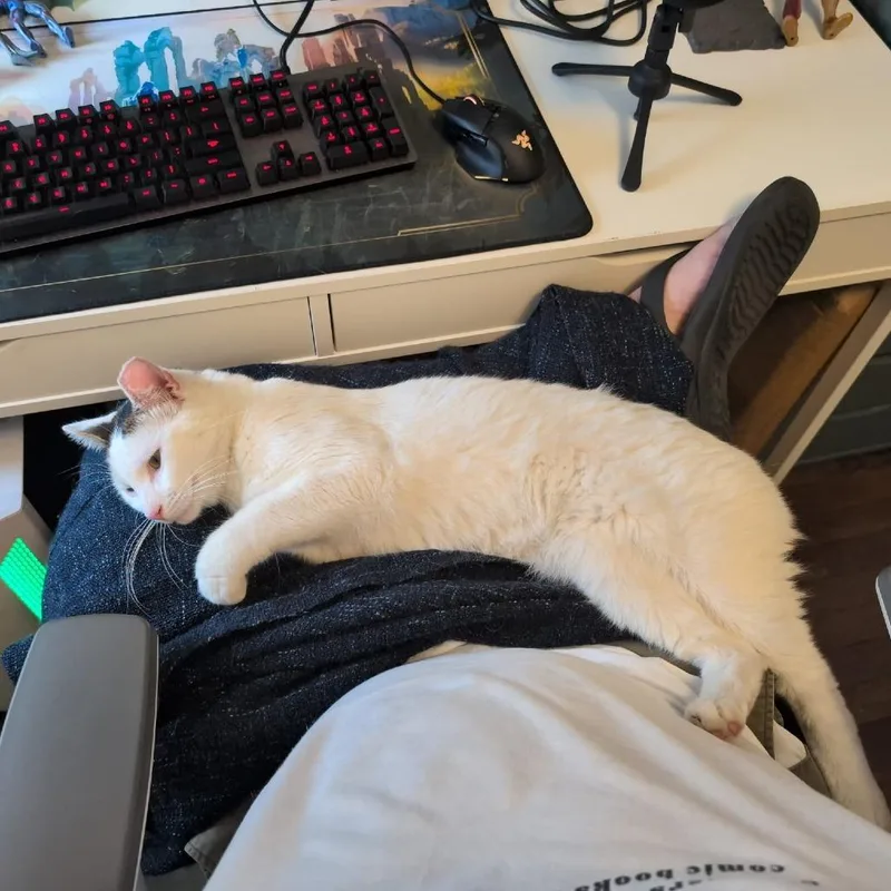 Catt Damon thumbnail 3