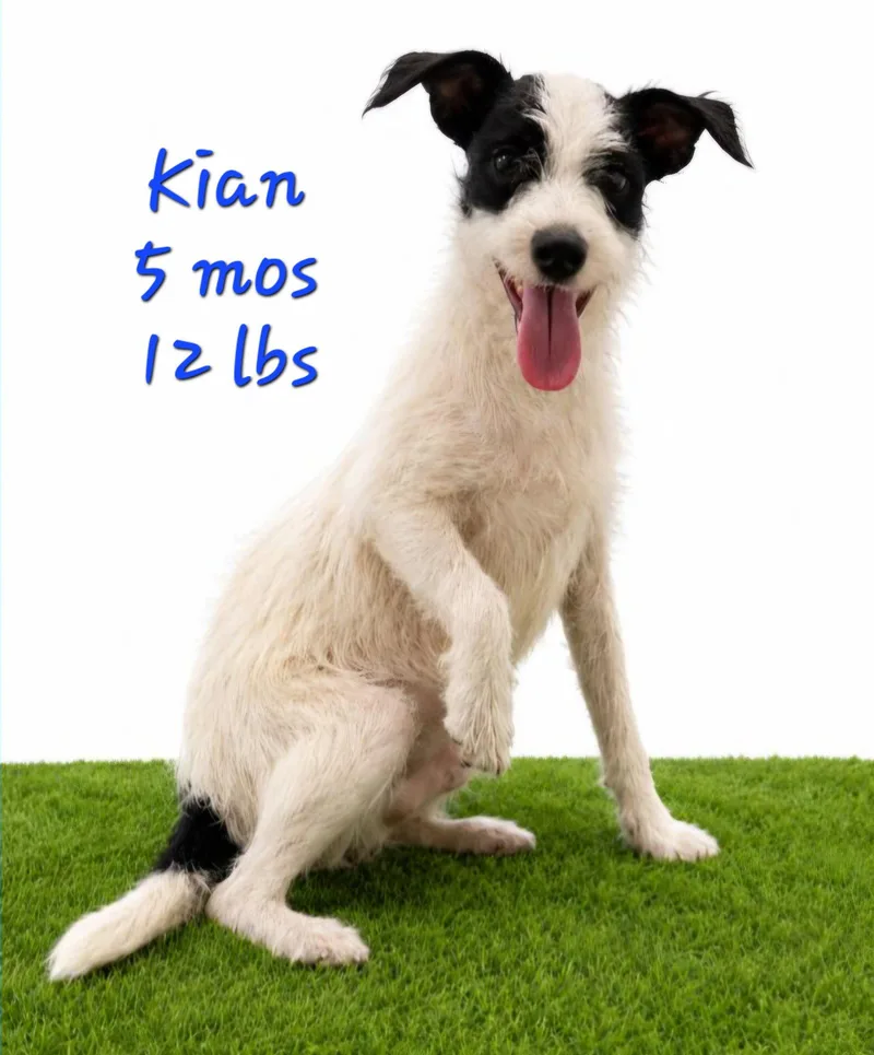Kian thumbnail 3