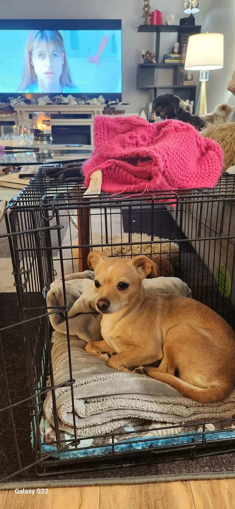 Nalashy Girl! thumbnail 2