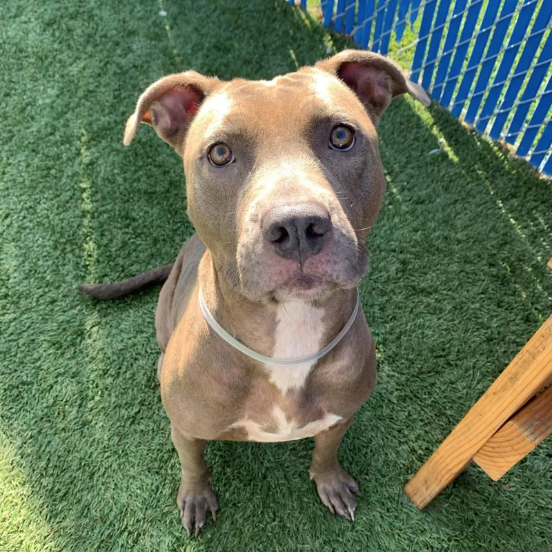 Cindy Lou thumbnail 2