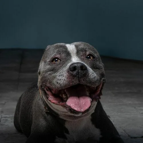 Lola