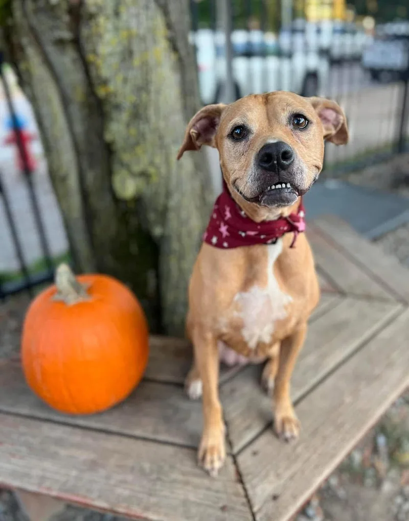 Princess thumbnail 2