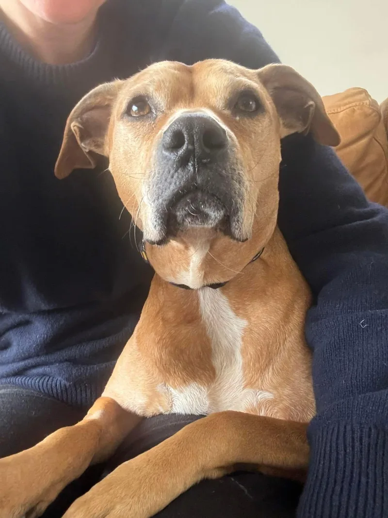 Princess thumbnail 3