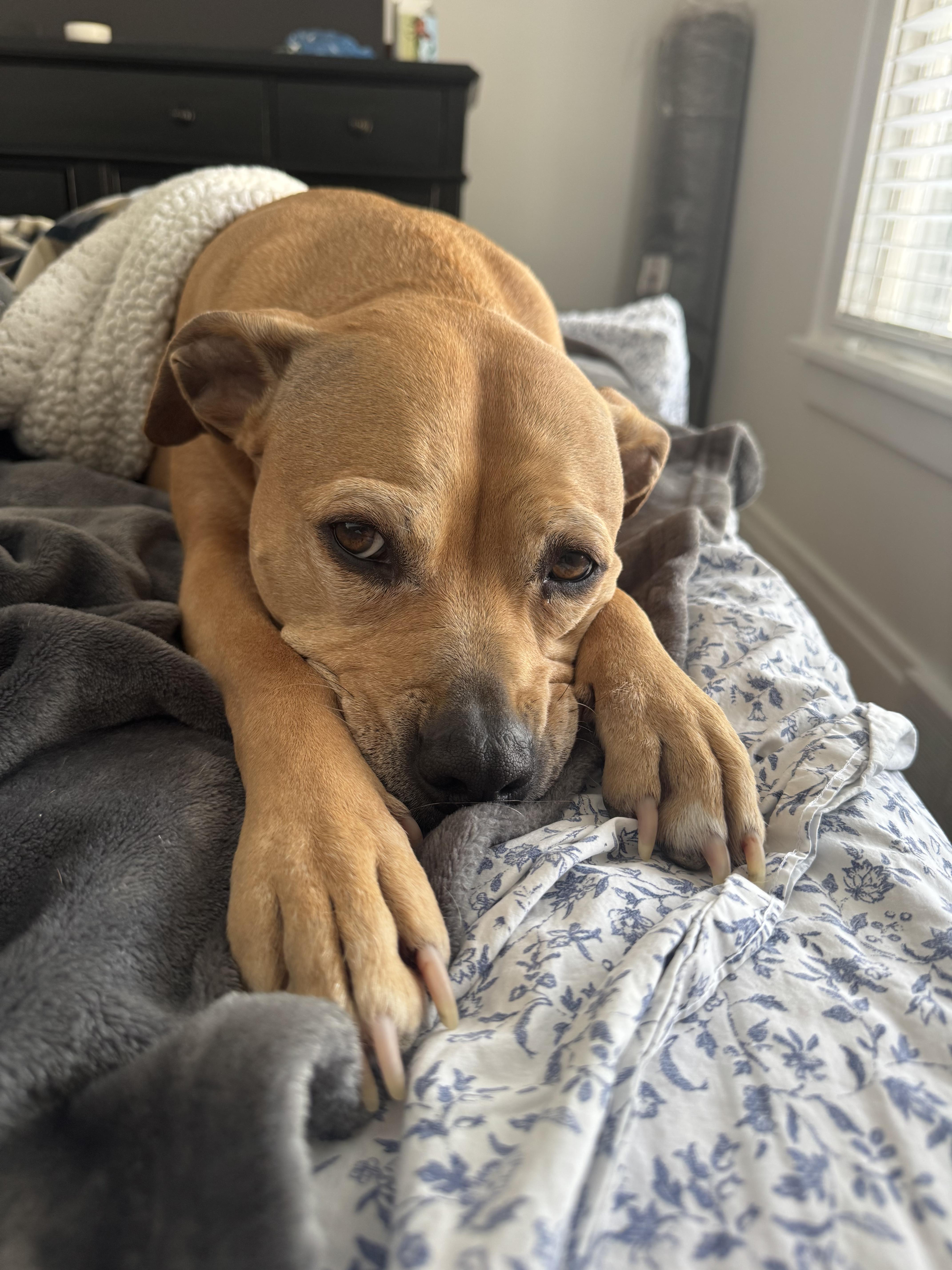 Princess thumbnail 4