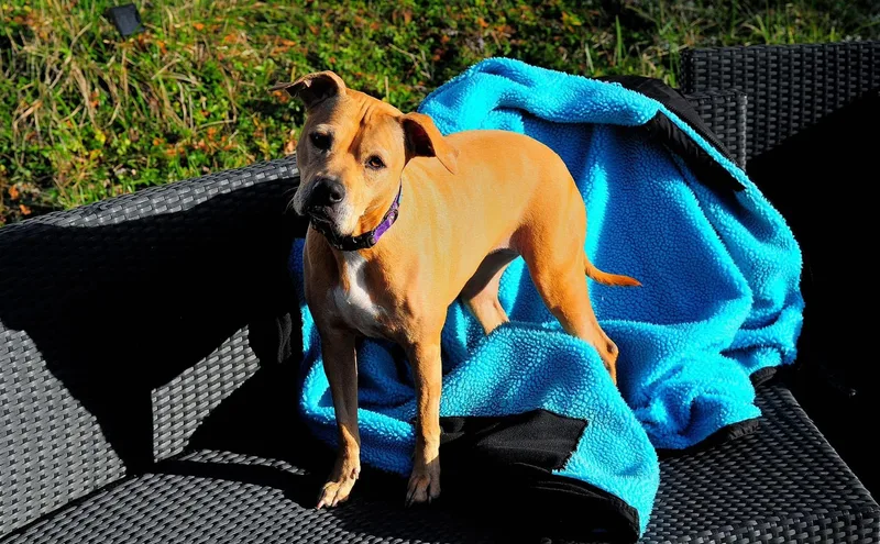 Princess thumbnail 5