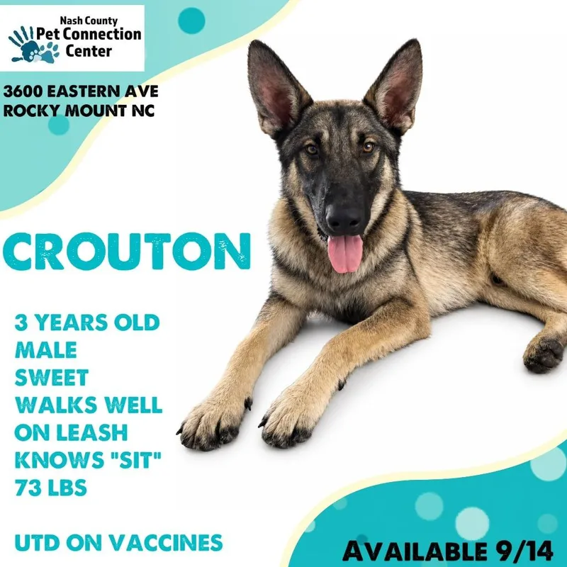 Crouton Reclaimed!