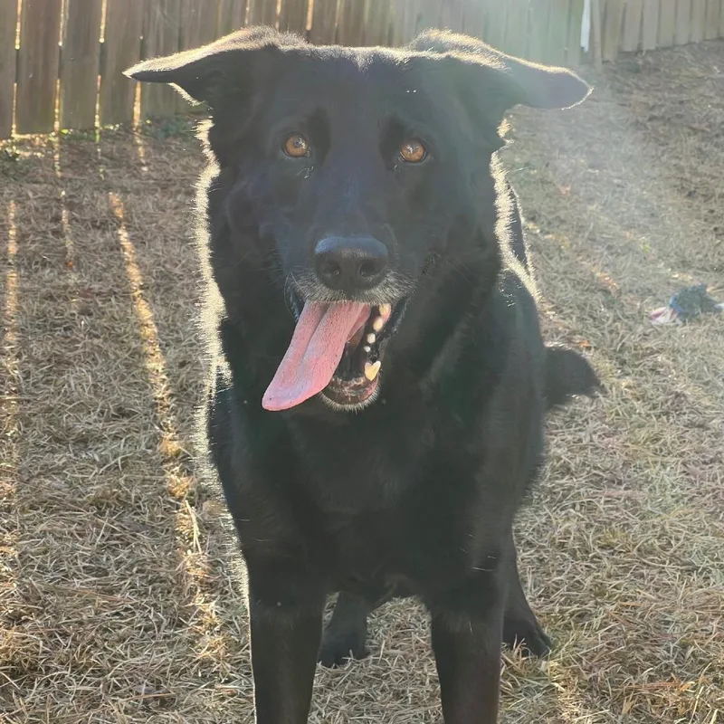 Rosalina thumbnail 2