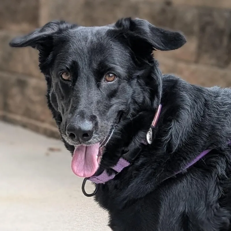 Rosalina thumbnail 4