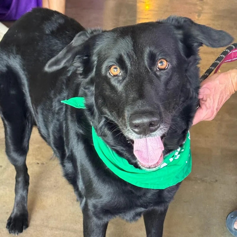 Rosalina thumbnail 5