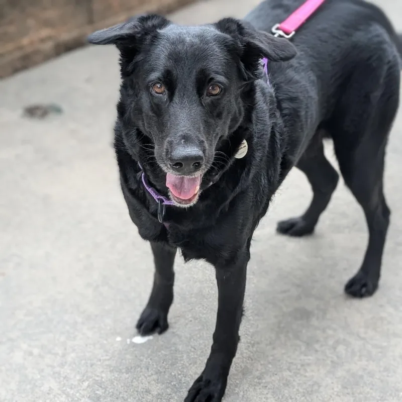 Rosalina thumbnail 6