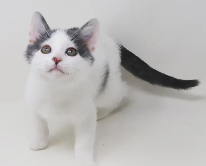 Romeo Is Ridiculously Sweet!! thumbnail 6