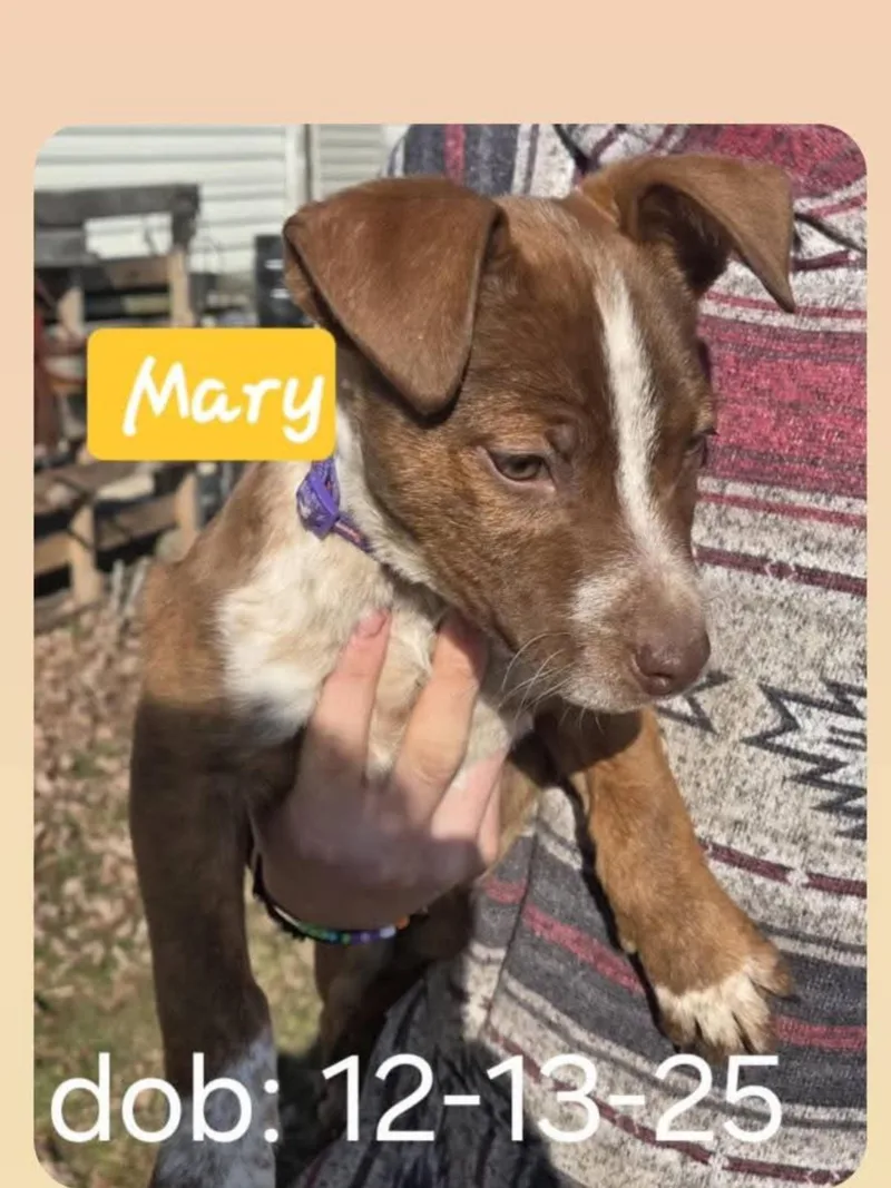 Mary