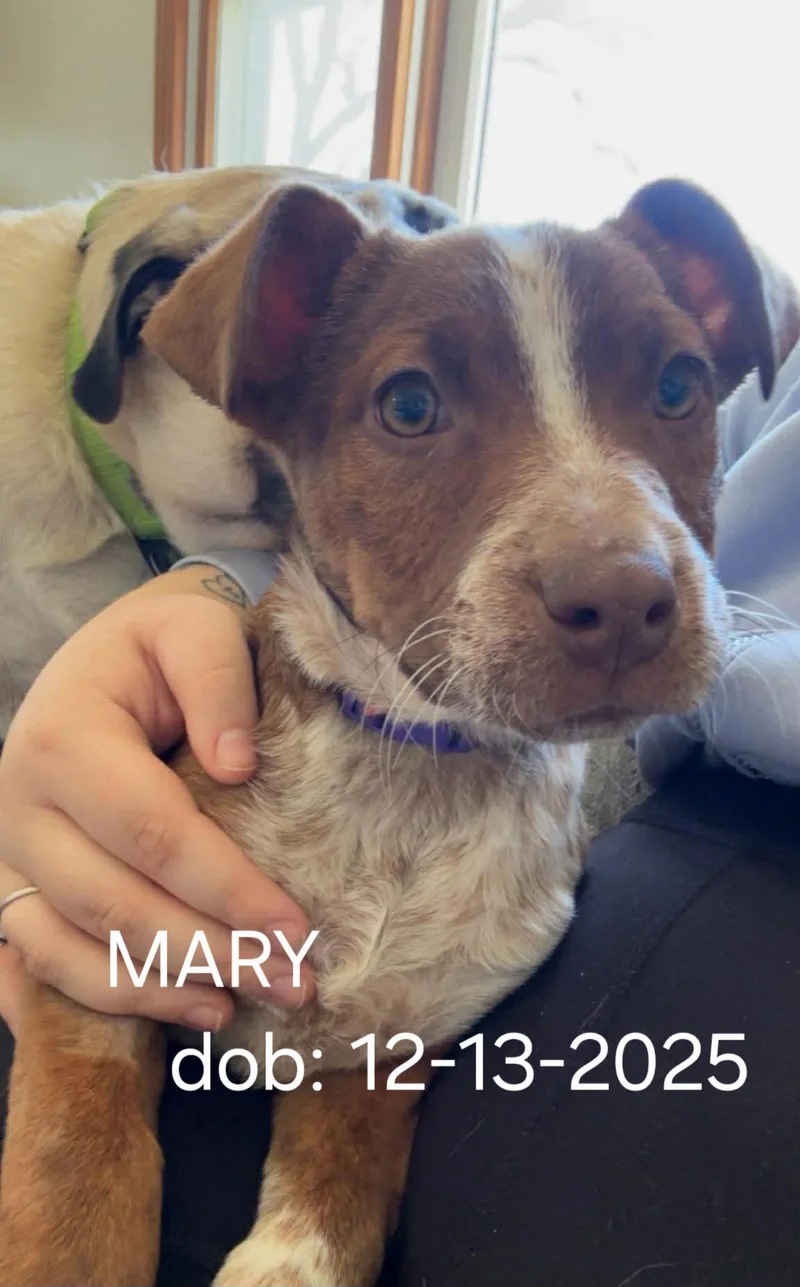 Mary thumbnail 2