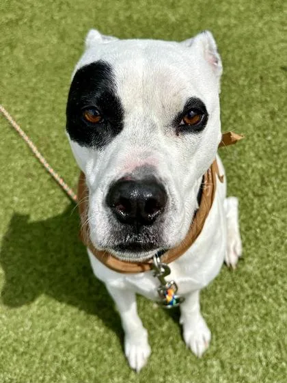 Mckensey thumbnail 2