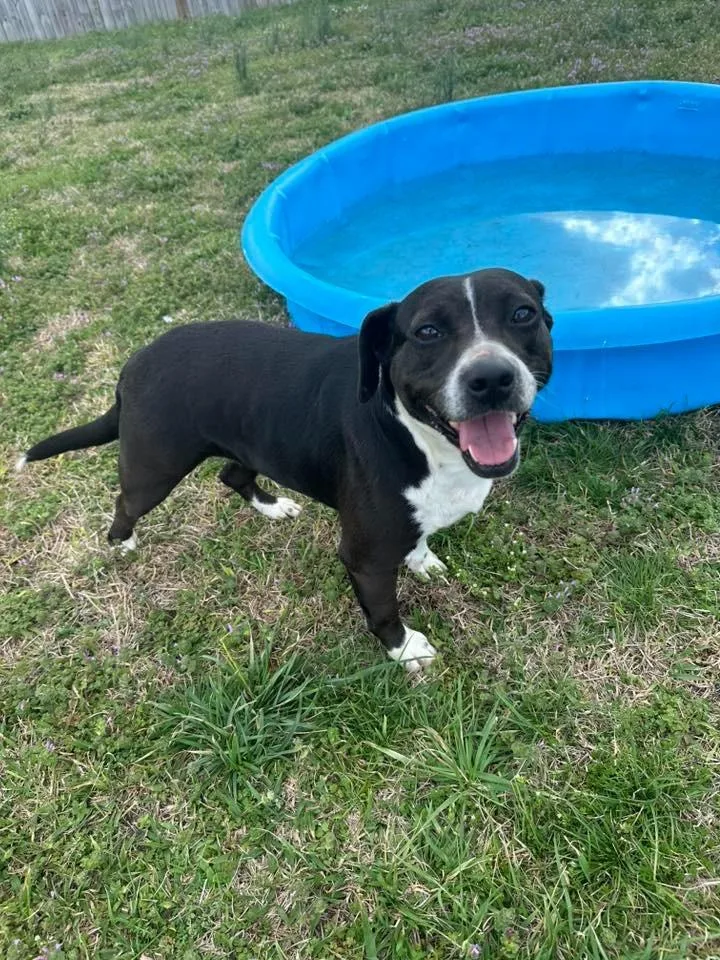 Sassy Girl thumbnail 2