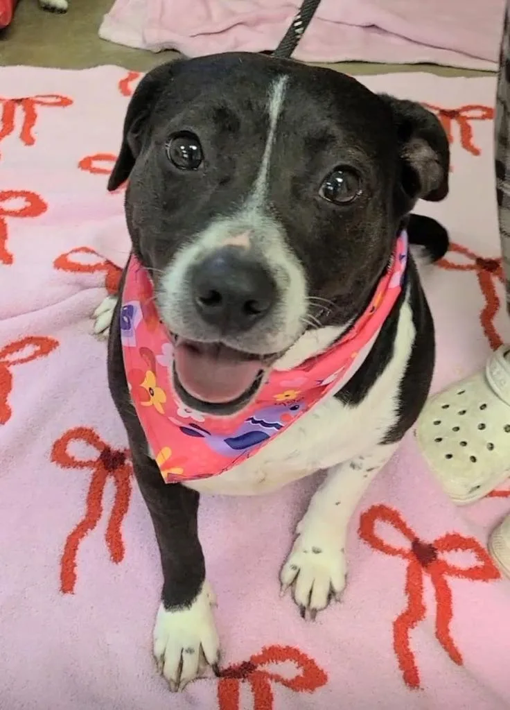 Sassy Girl thumbnail 3