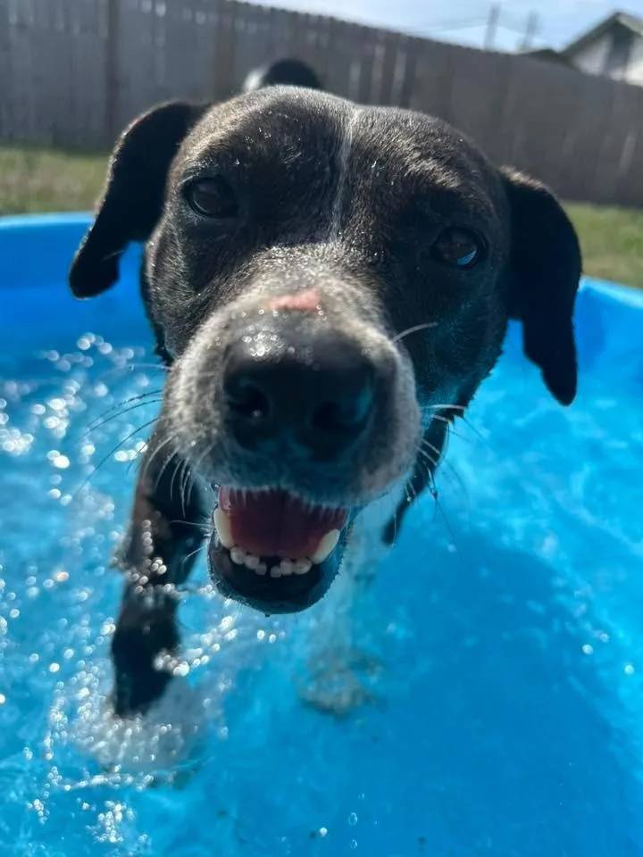 Sassy Girl thumbnail 4